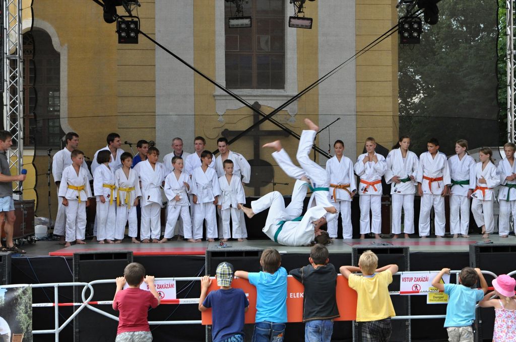ukazky 2012__10.JPG
